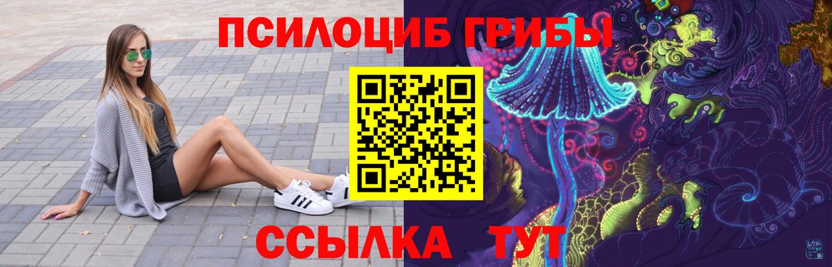 Псилоцибиновые грибы Cubensis  Вход с VPN  Ноябрьск  Псилоцибиновые грибы Psilocybe 